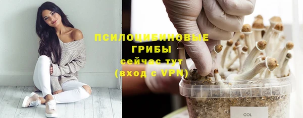 2c-b Армянск
