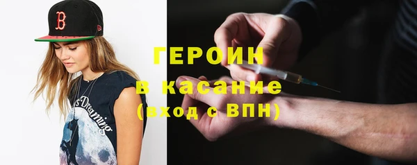 сатива Арсеньев