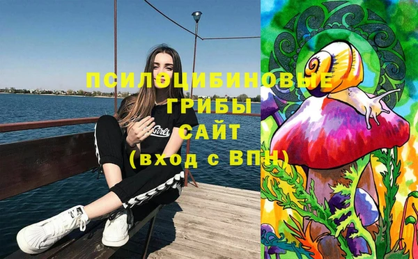 mdpv Протвино