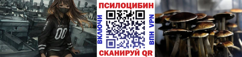 Псилоцибиновые грибы мицелий Нововоронеж