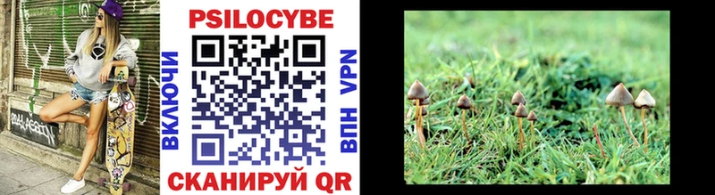 Псилоцибиновые грибы Psilocybine cubensis где продают наркотики дарк нет наркотические препараты Нововоронеж
