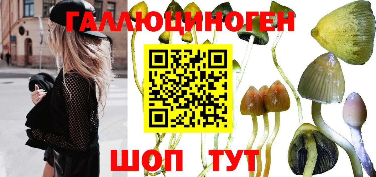 Псилоцибиновые грибы мухоморы Нововоронеж