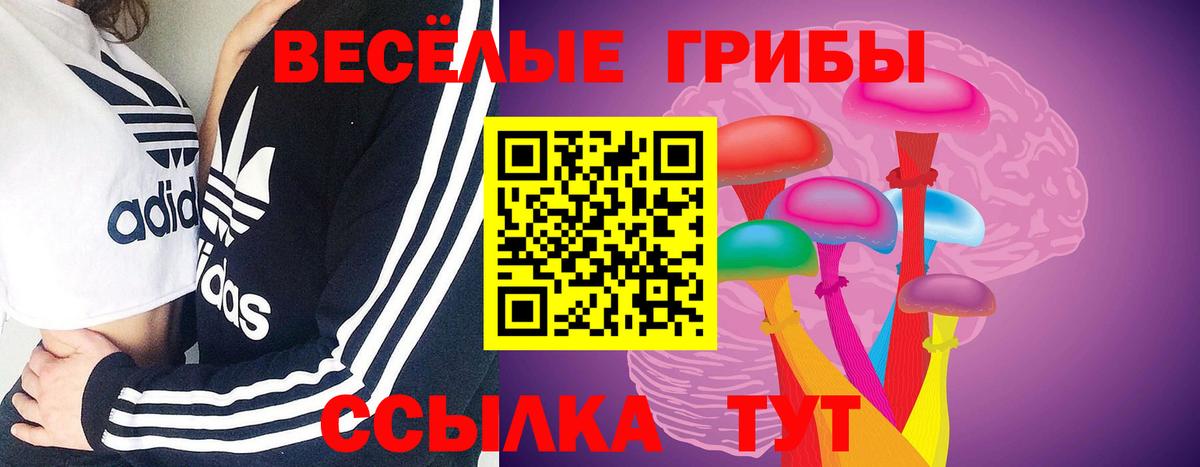 Нововоронеж  Псилоцибиновые грибы мицелий  сколько стоит  Галлюциногенные грибы Magic Shrooms  Вход с VPN 